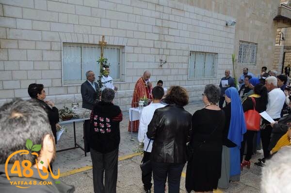 masrira latinyafa (2).JPG